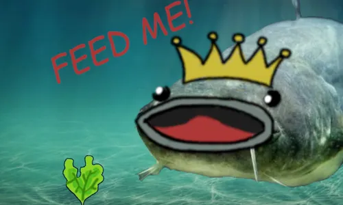 Feed me! cover