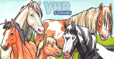 Virtual Horse Ranch screenshot